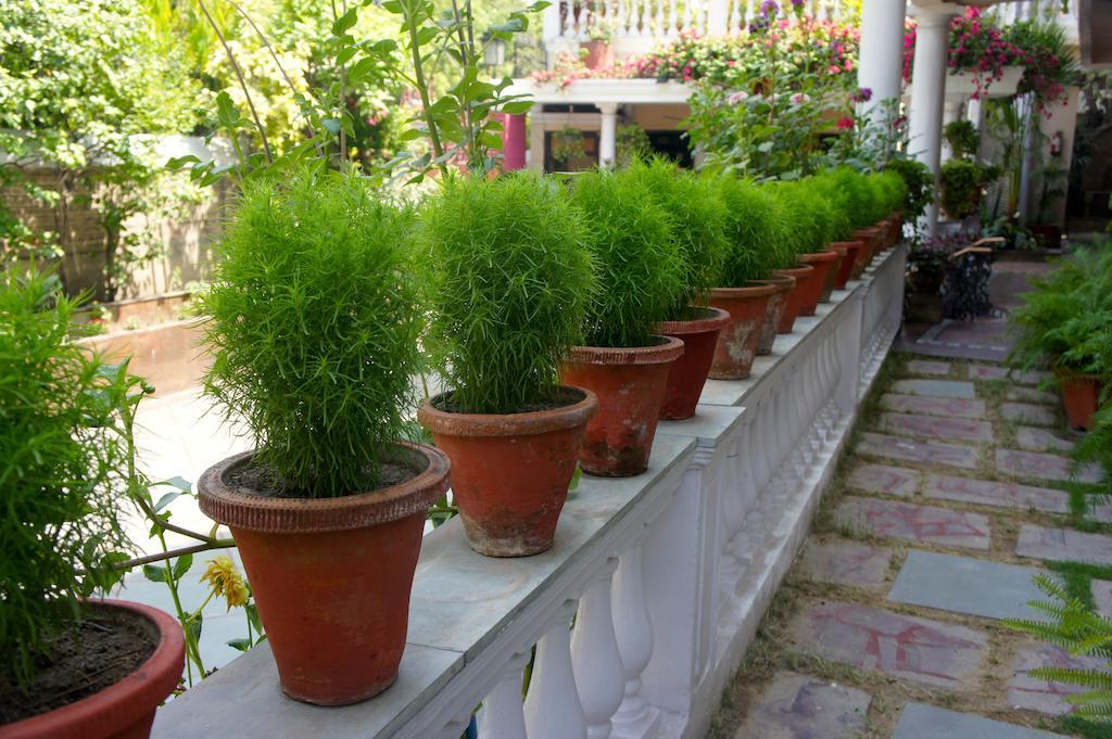 Sirohi House نيودلهي المظهر الخارجي الصورة