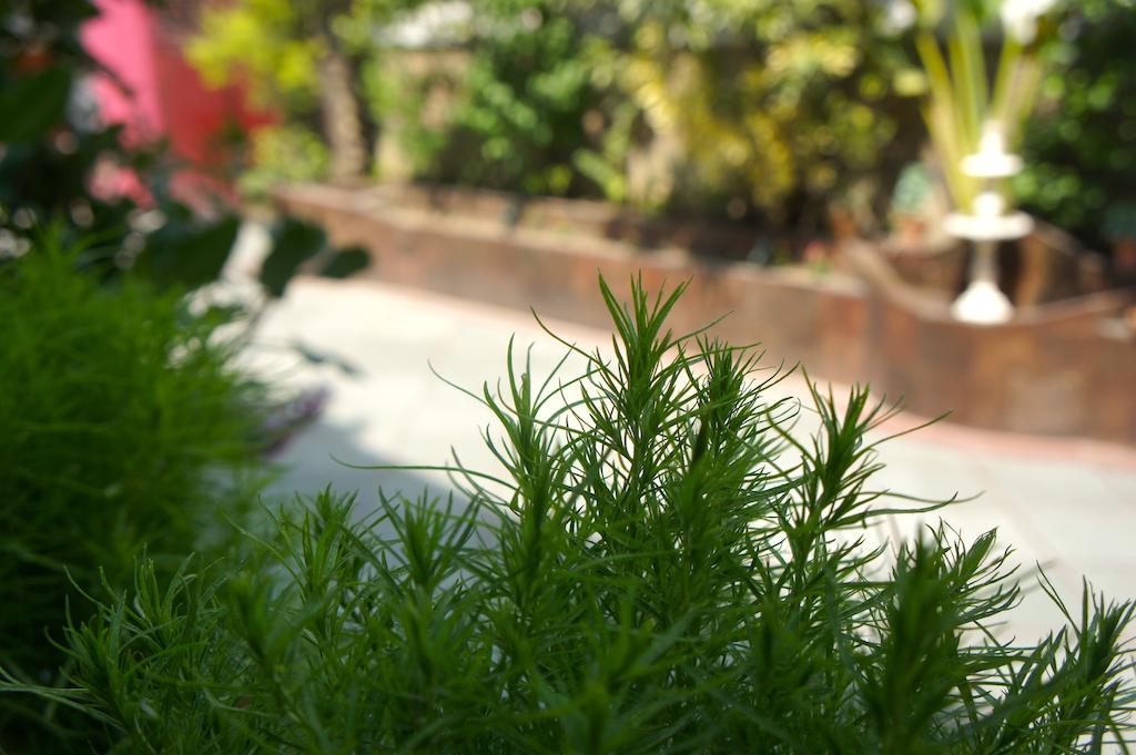 Sirohi House نيودلهي المظهر الخارجي الصورة